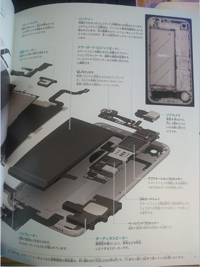 図鑑が楽しい