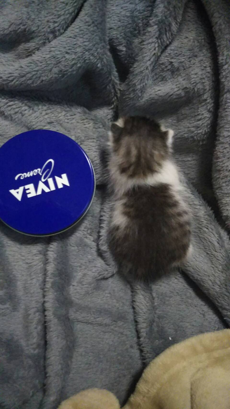 最近の癒し♡